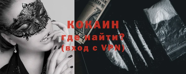 apvp Алексин