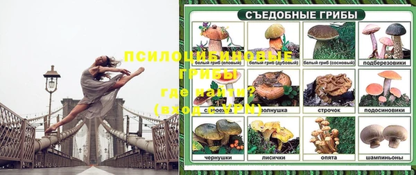 apvp Алексин